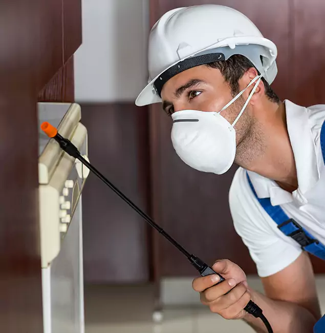 Why White City Homeowners Rely on White City Pest Control Pro for Tick Treatment?