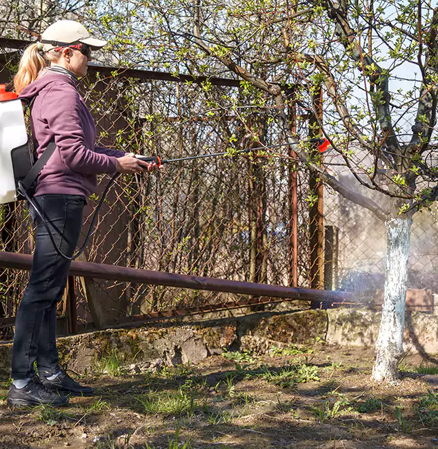 Why White City Homeowners Choose White City Pest Control Pro for Mosquito Abatement?