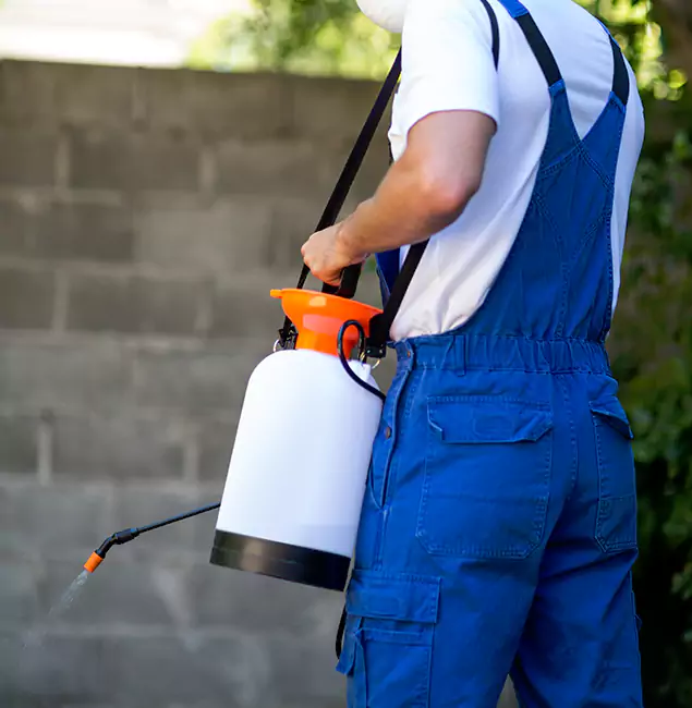 Why White City Homeowners Rely on White City Pest Control Pro for Mosquito Control?