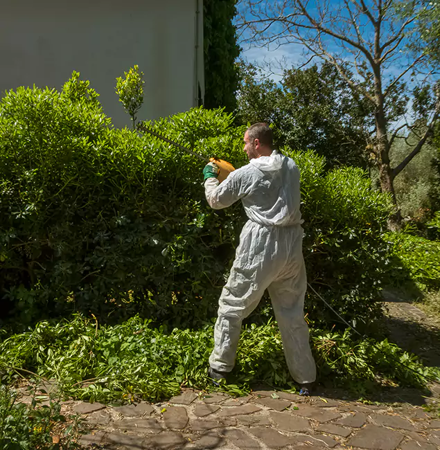 Why White City Pest Control Pro Leads Mosquito Control in White City, OR?