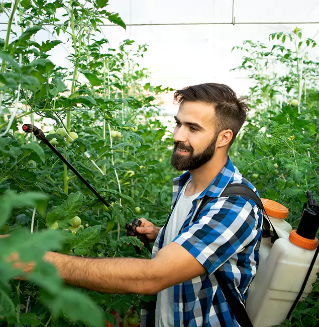 Why White City Homeowners Choose White City Pest Control Pro for Mosquito Spraying?