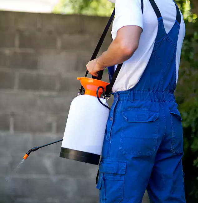 Why White City Pest Control Pro Delivers the Best Mosquito Control in White City, OR?