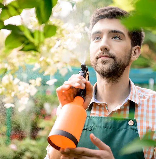 Why White City Homeowners Call White City Pest Control Pro for Mosquitoes in House?