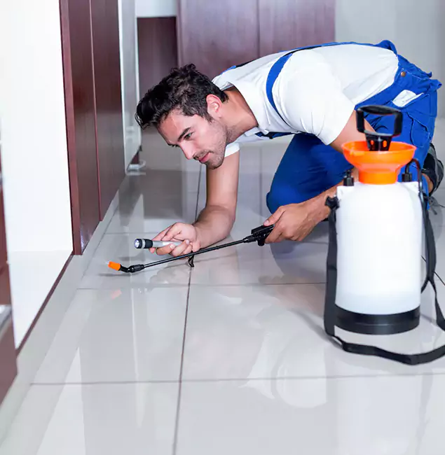 Why White City Pest Control Pro Is the Proven Choice in White City, OR?