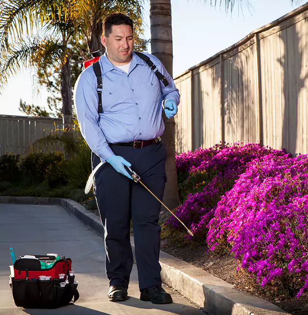 Why Choose White City Pest Control Pro in White City, OR?