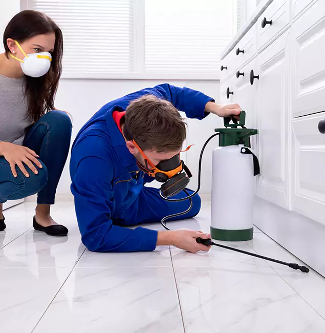 Why Choose White City Pest Control Pro in White City, OR?