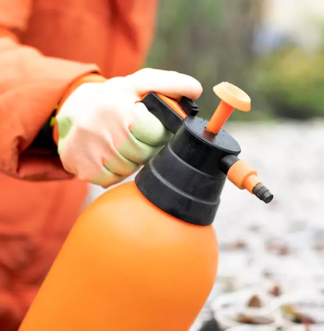 Why Choose White City Pest Control Pro for Orange Termite Treatment in White City, OR?