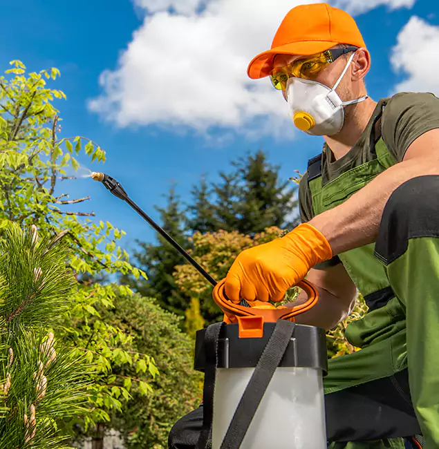Why Choose White City Pest Control Pro for Outdoor Pest Control in White City, OR?