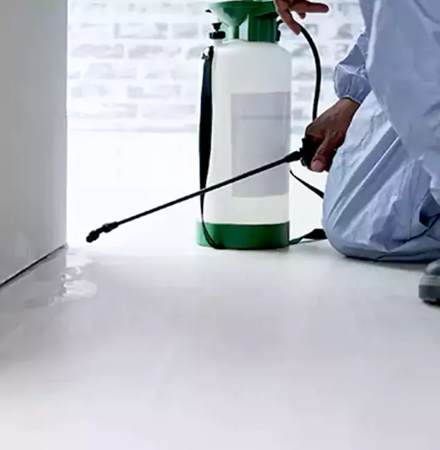 Why Choose White City Pest Control Pro for Rat Exterminator in White City, OR?