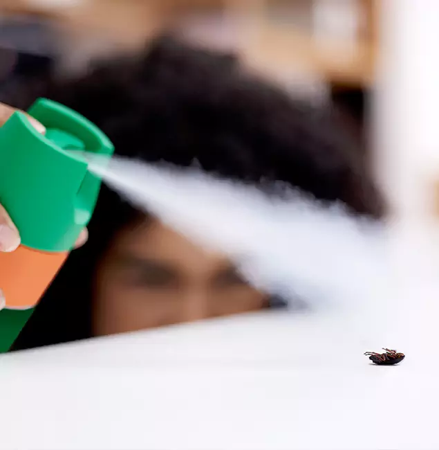Why White City, OR Homeowners Choose White City Pest Control Pro for Roach Pest Control?