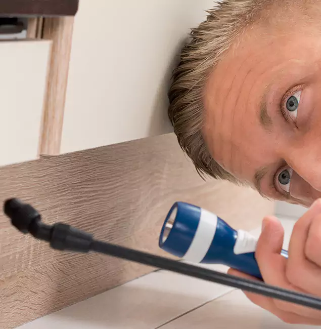 Why Choose White City Pest Control Pro for Rodent Exterminator in White City, OR?