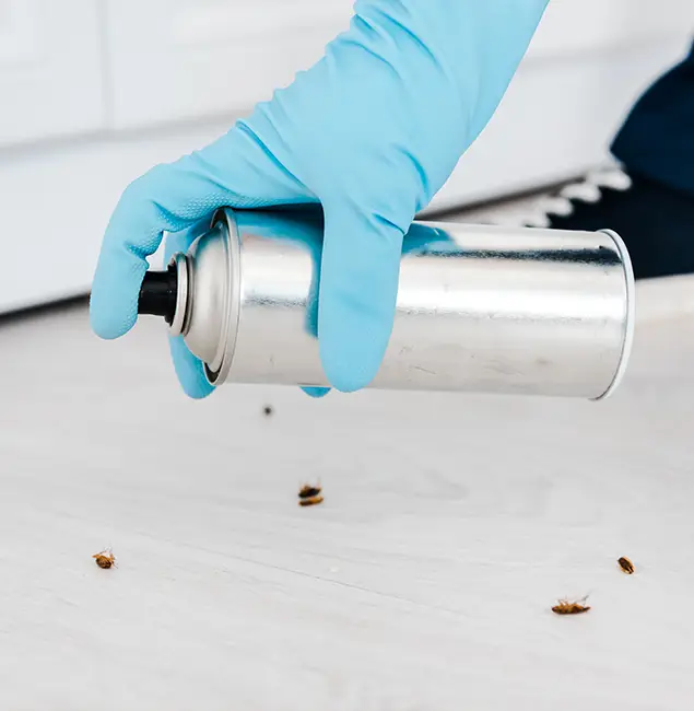 Why Choose White City Pest Control Pro for Safe Bed Bug Treatment in White City, OR?
