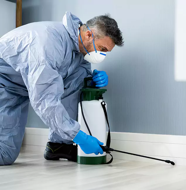 Why Choose White City Pest Control Pro for Subterranean Termites Treatment in White City, OR?