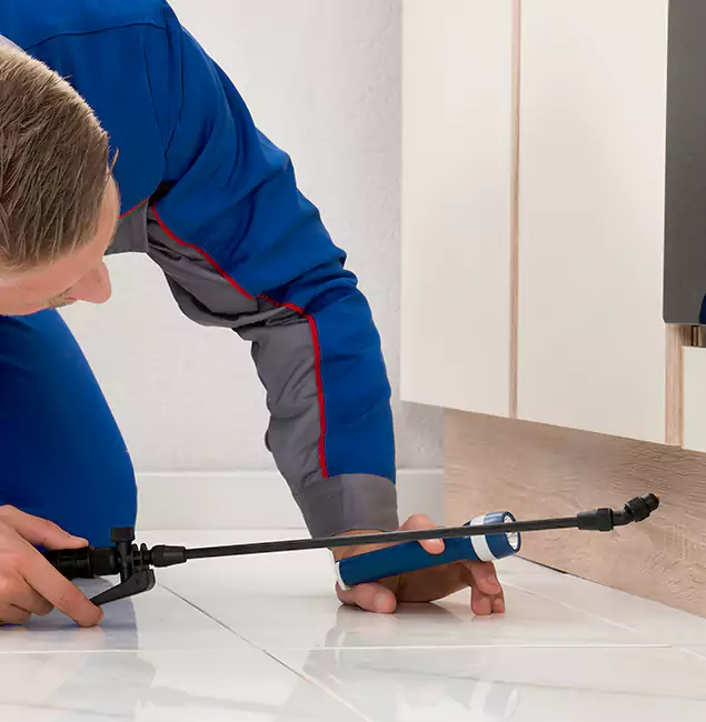 Why White City Residents Choose White City Pest Control Pro to Get Rid of Sugar Ants?