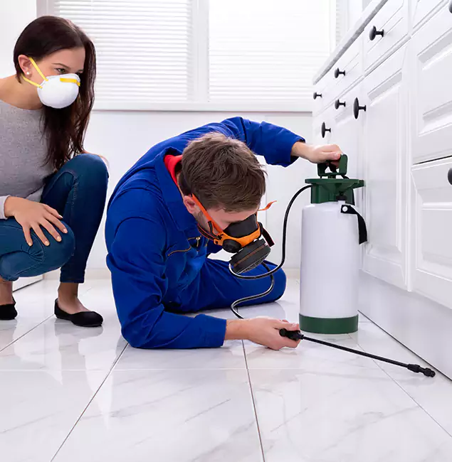 Why Choose White City Pest Control Pro for Termite Inspection Cost in White City, OR?