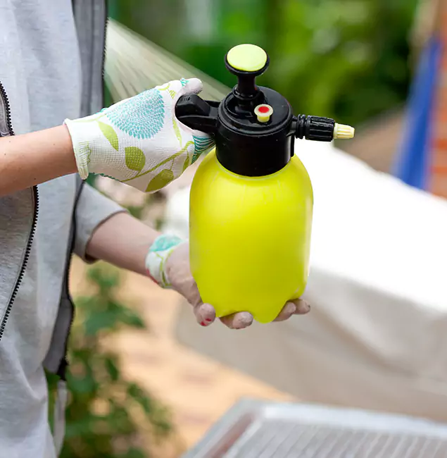 Why Choose Us: White City Pest Control Pro Termite Spraying Experts in White City, OR?