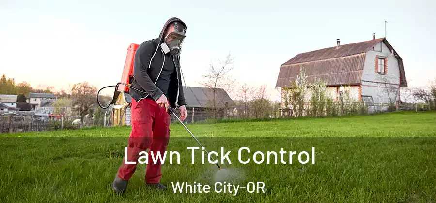 Lawn Tick Control White City-OR