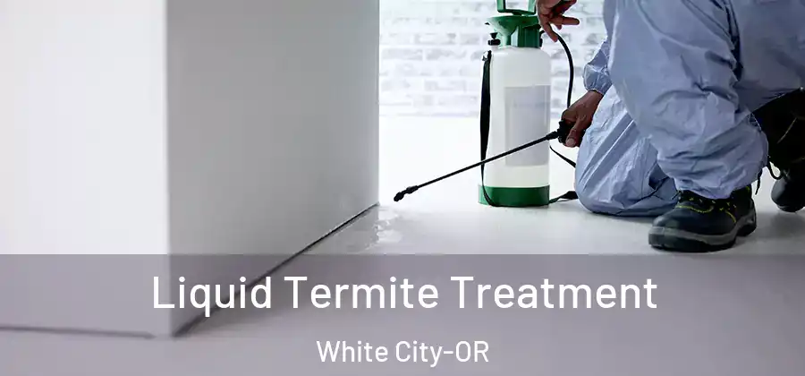 Liquid Termite Treatment White City-OR