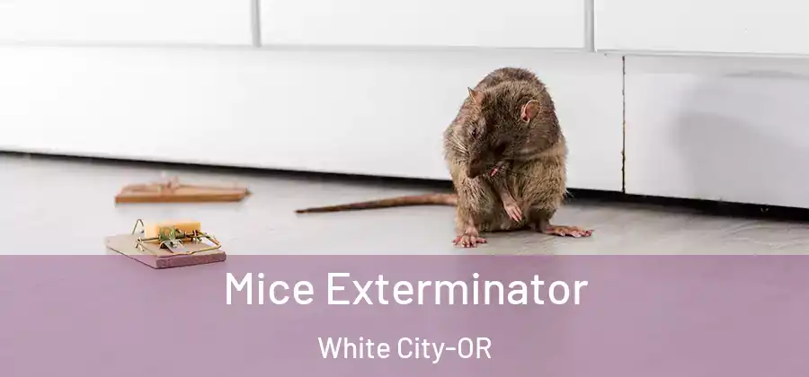 Mice Exterminator White City-OR