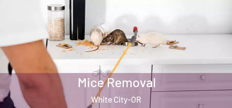 Mice Removal White City-OR