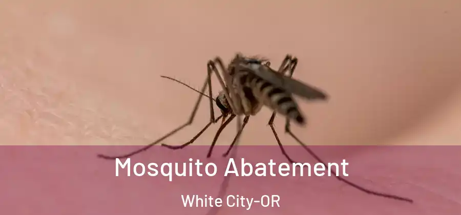Mosquito Abatement White City-OR