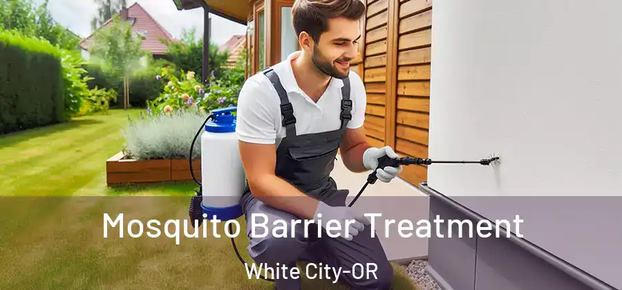 Mosquito Barrier Treatment White City-OR