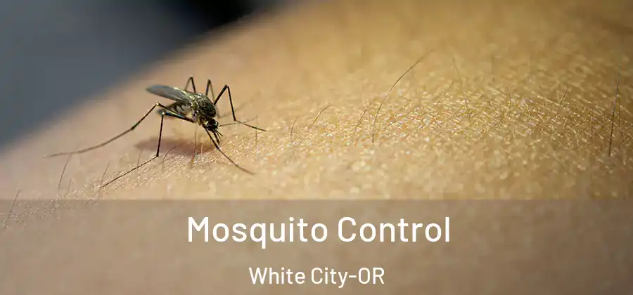Mosquito Control White City-OR