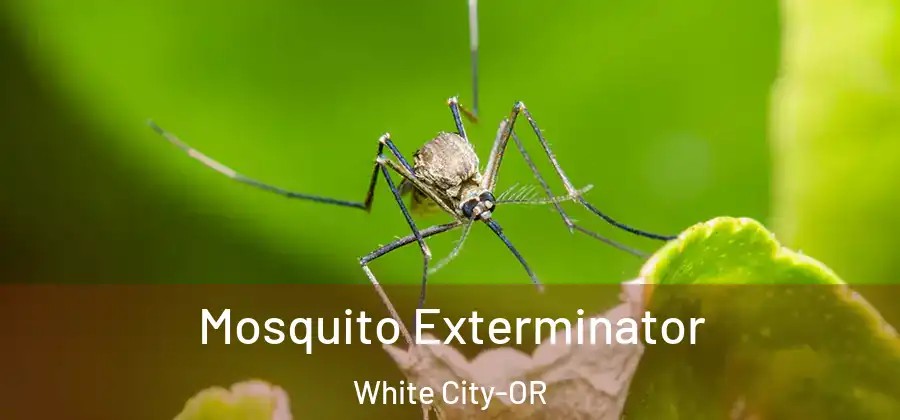 Mosquito Exterminator White City-OR
