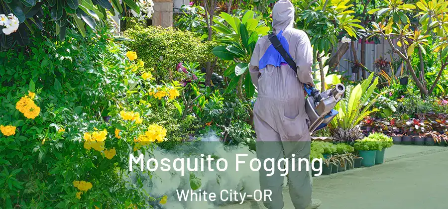 Mosquito Fogging White City-OR