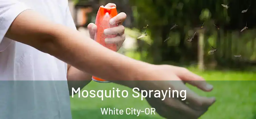 Mosquito Spraying White City-OR