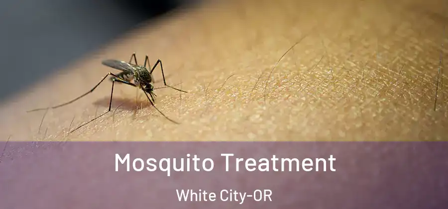 Mosquito Treatment White City-OR