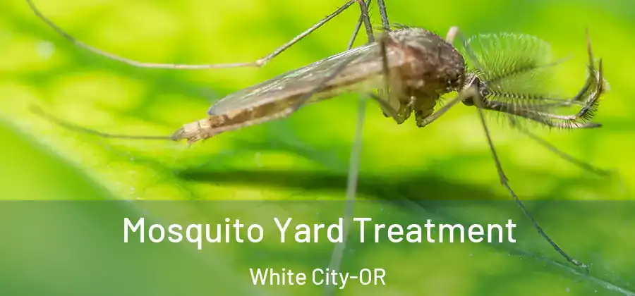 Mosquito Yard Treatment White City-OR