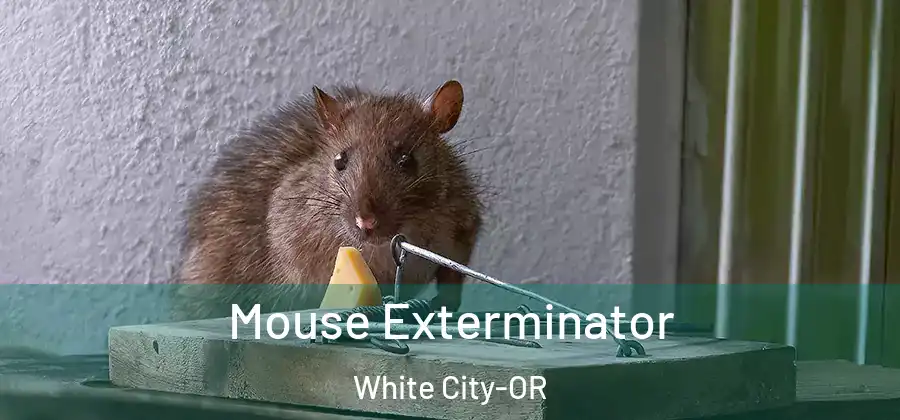 Mouse Exterminator White City-OR