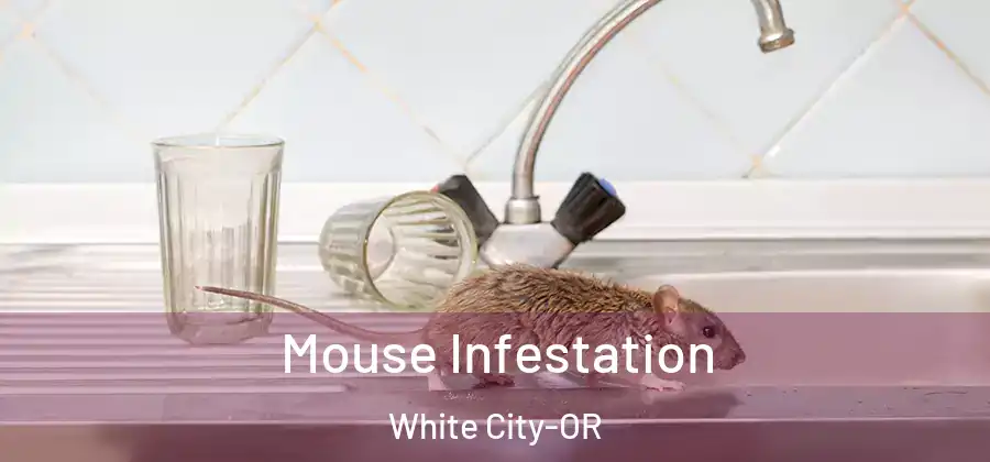 Mouse Infestation White City-OR