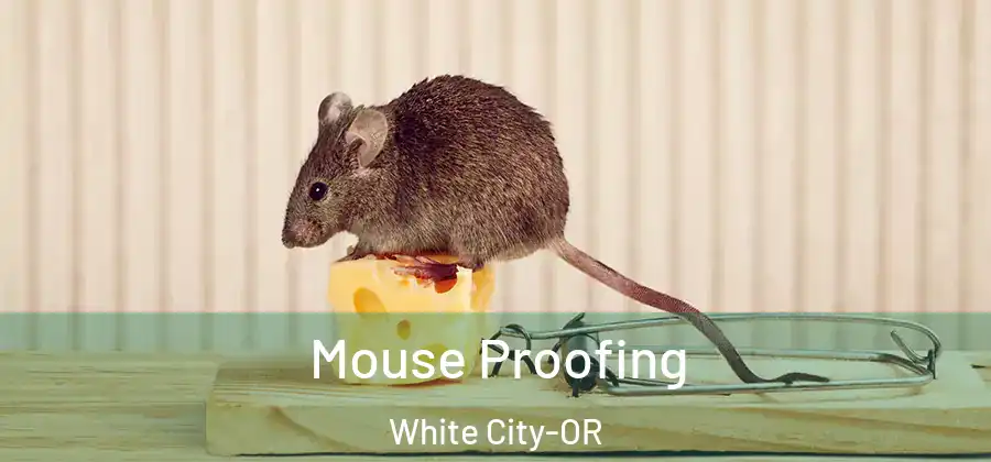Mouse Proofing White City-OR