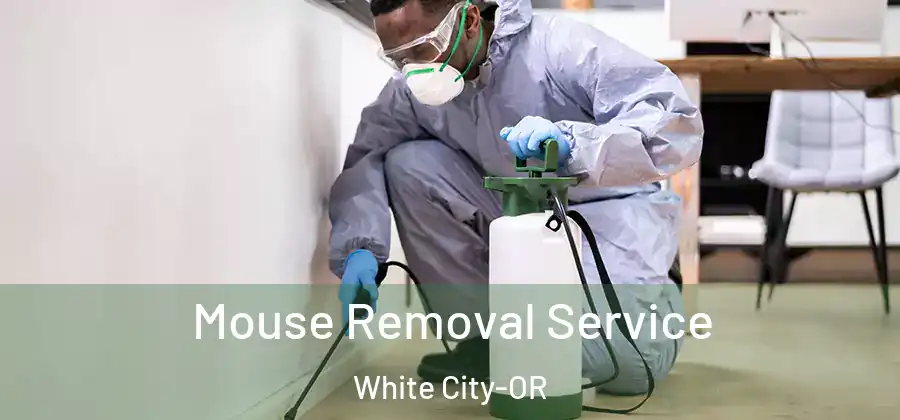  Mouse Removal Service White City-OR