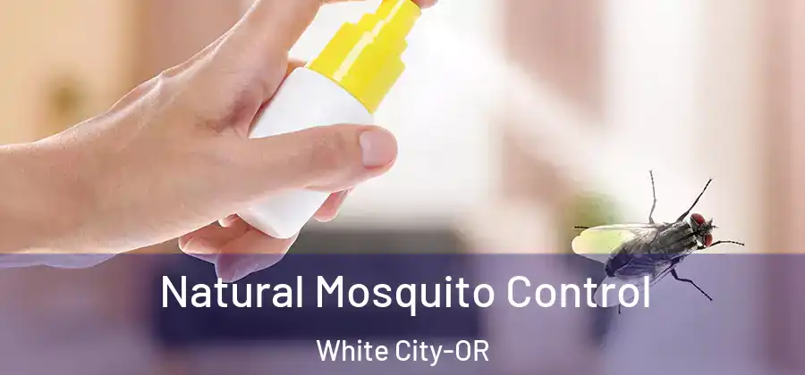  Natural Mosquito Control White City-OR