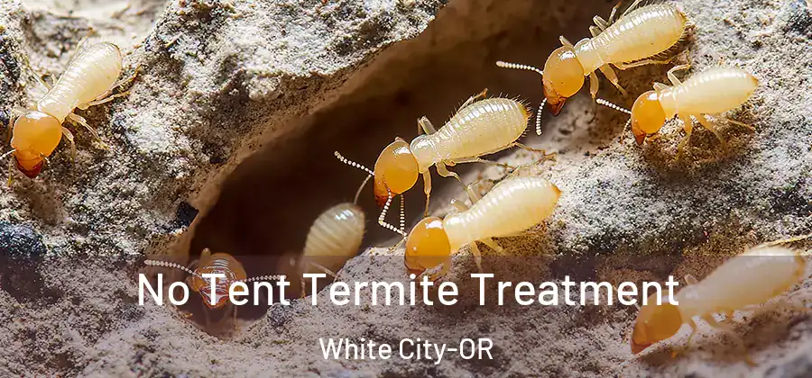  No Tent Termite Treatment White City-OR