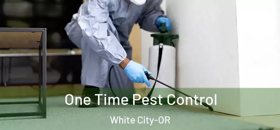 One Time Pest Control White City-OR