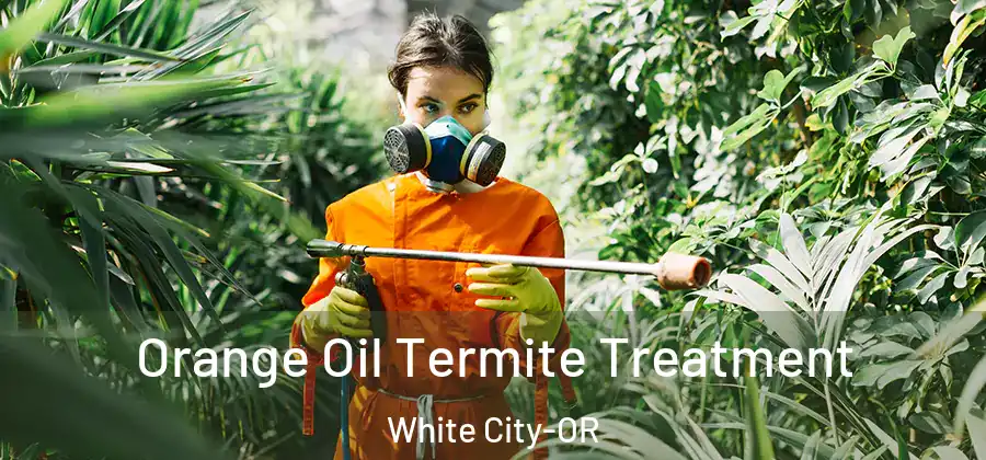  Orange Oil Termite Treatment White City-OR