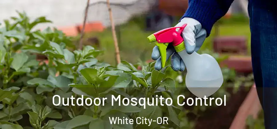 Outdoor Mosquito Control White City-OR