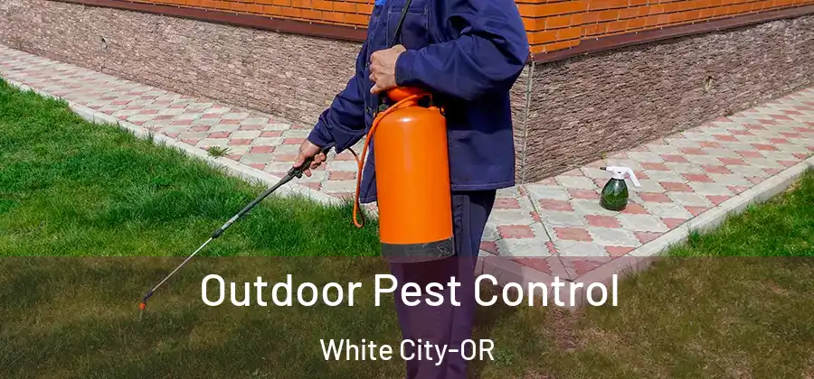 Outdoor Pest Control White City-OR
