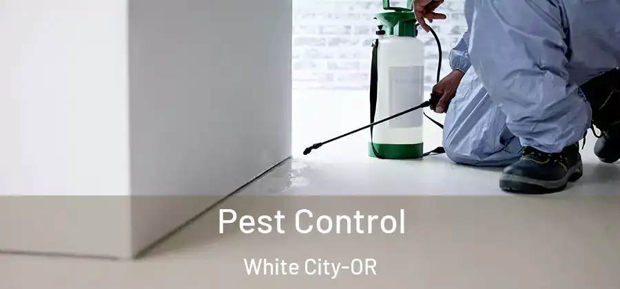  Pest Control White City-OR