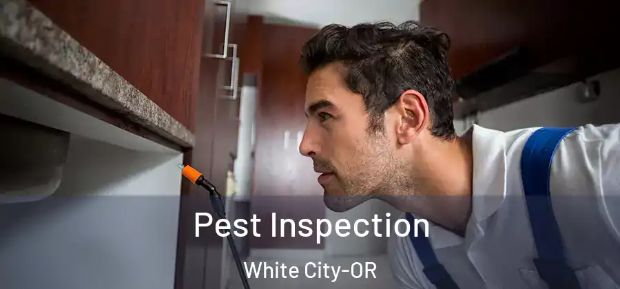 Pest Inspection White City-OR