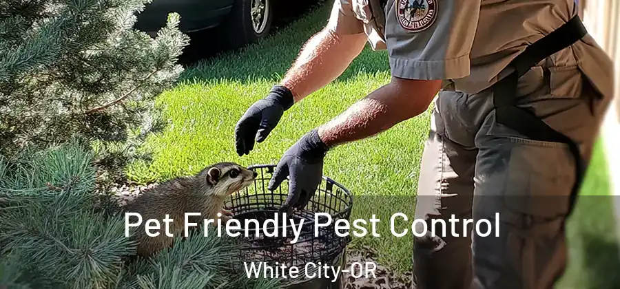 Pet Friendly Pest Control White City-OR