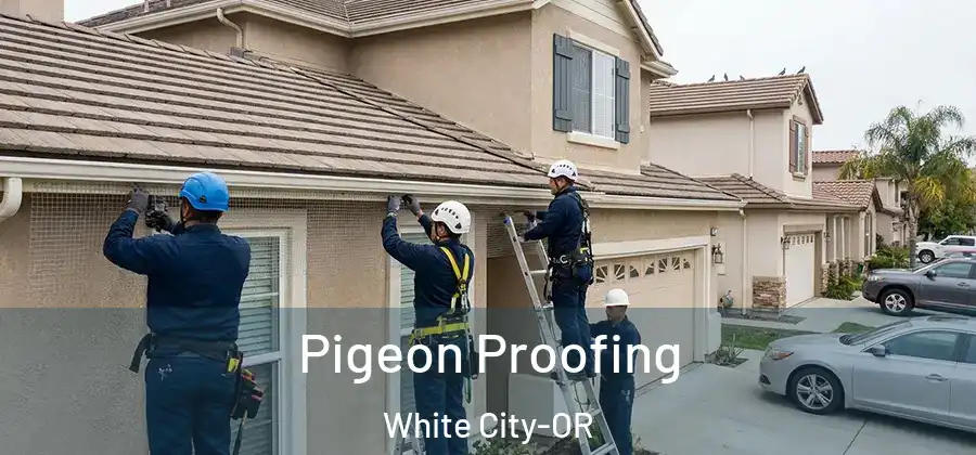 Pigeon Proofing White City-OR