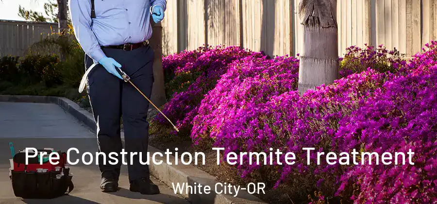 Pre Construction Termite Treatment White City-OR