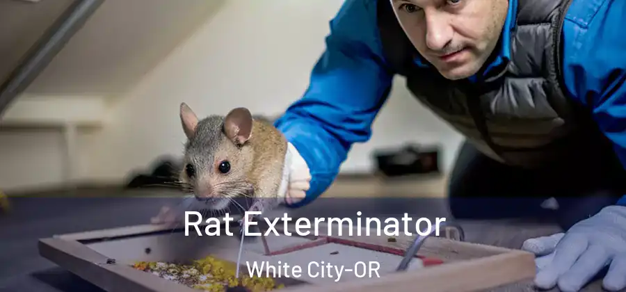 Rat Exterminator White City-OR