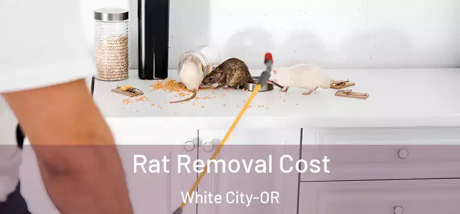 Rat Removal Cost White City-OR