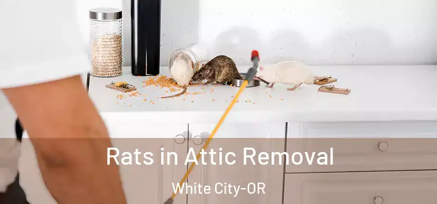  Rats in Attic Removal White City-OR
